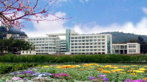 新華網福建頻道