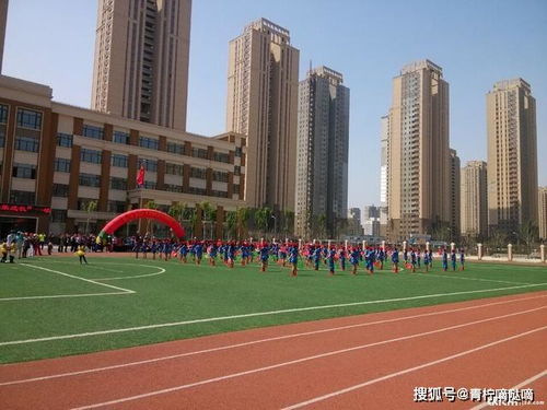 沈陽教育集團及分校大盤點 你最中意的是哪所