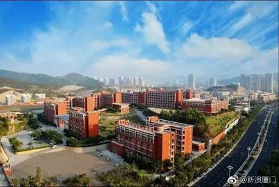 賣淫、販毒、持械斗毆…廈門這兩名男子一年報警83次!結果…_社會_網